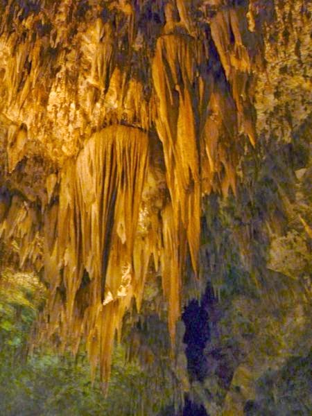 Formations hanging from ceiling of cave