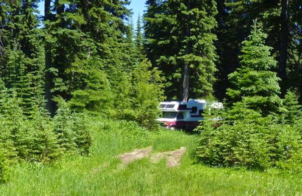 RV hidden in the forest