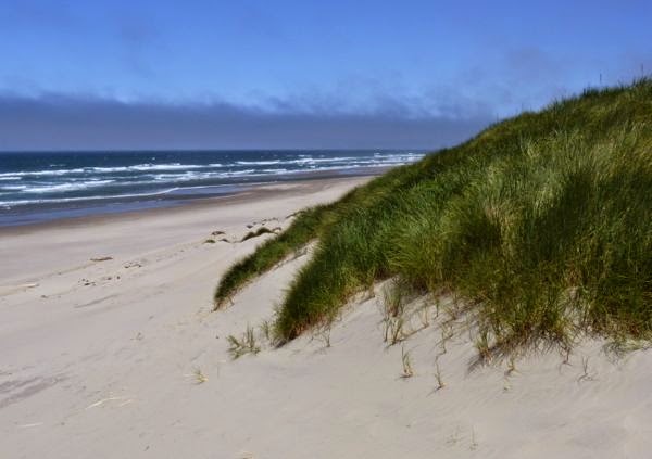 Sand dune on coast