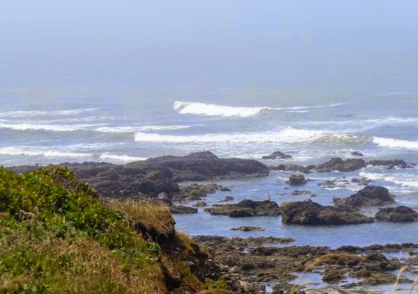 Surf rolling into rocky coast