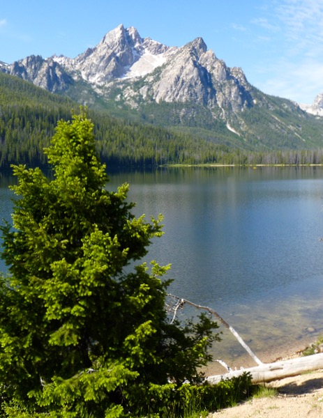 Lake, peak, tree