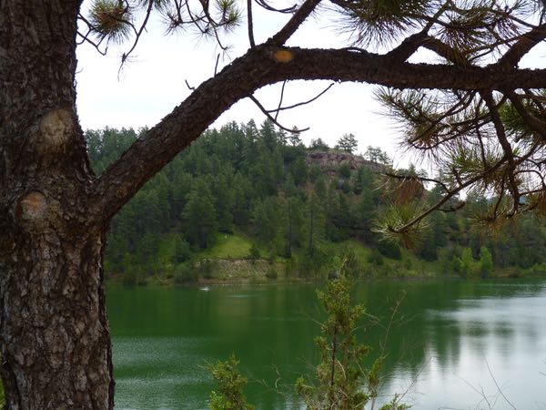 Lake, tree, hills