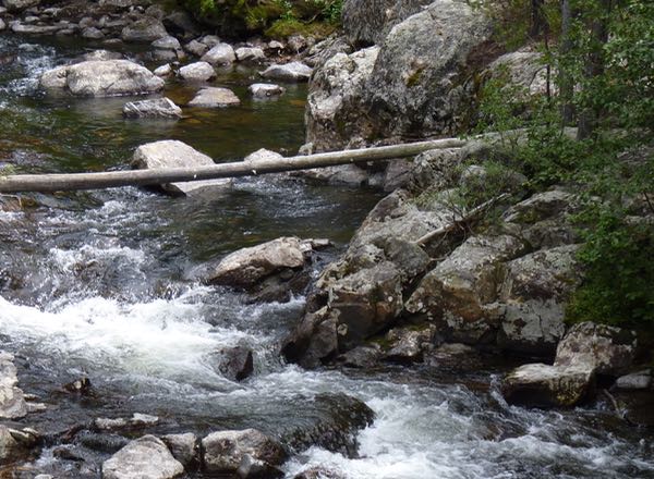 Cascade, stream, rocks, log