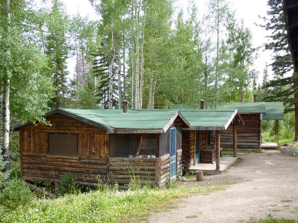 Log cabins, trees