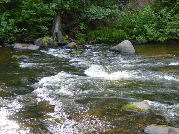 River Rapids, Sparrow Creek