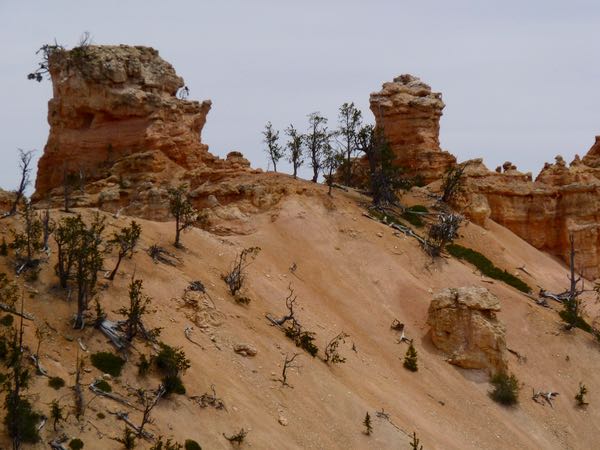 Bryce Canyon NP