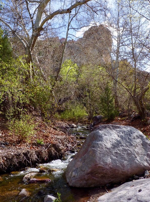 Mineral Creek Trail