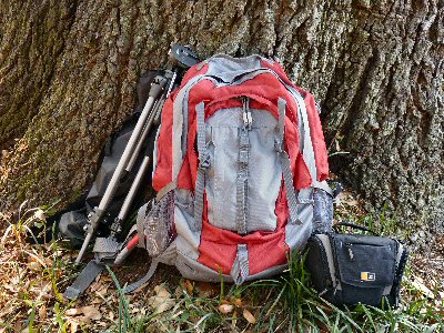 Backpack by tree trunk