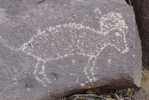 Drawing on rock of goat