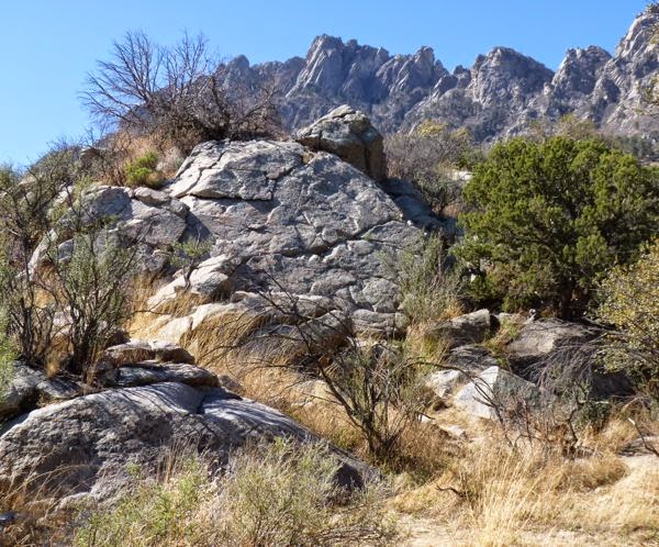 Rocks, trees, and rugged mountain