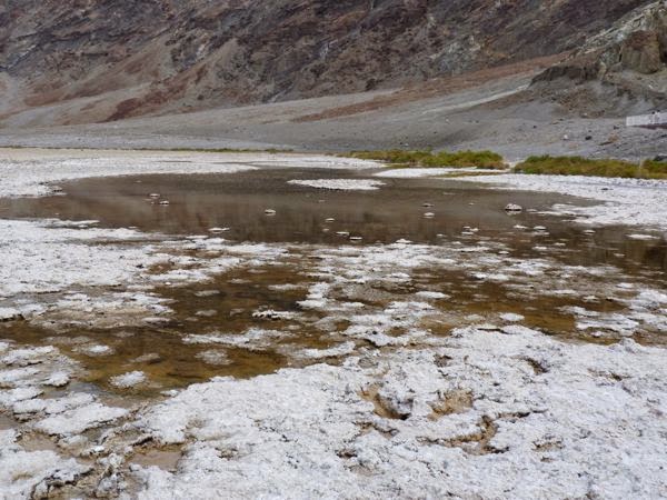 Salt deposites floating on pond