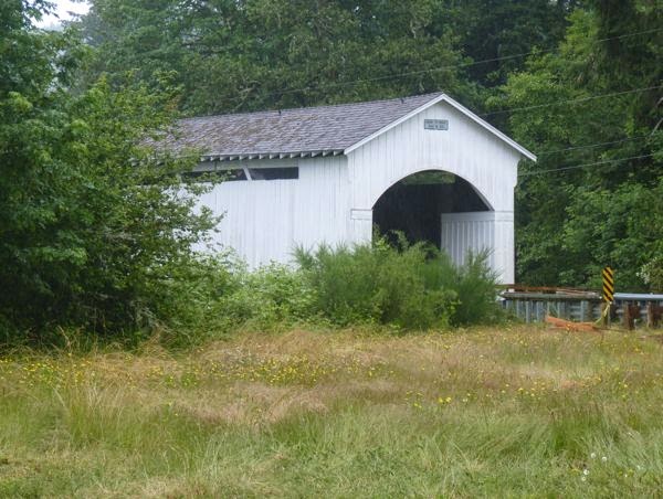 Covered bridge with grass