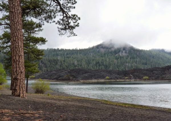 Pine tree, lava beds and lake