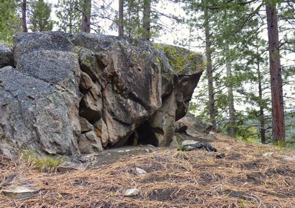 Big boulder and pines