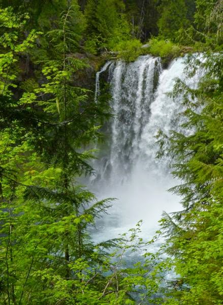 Tall waterfall with pine trees