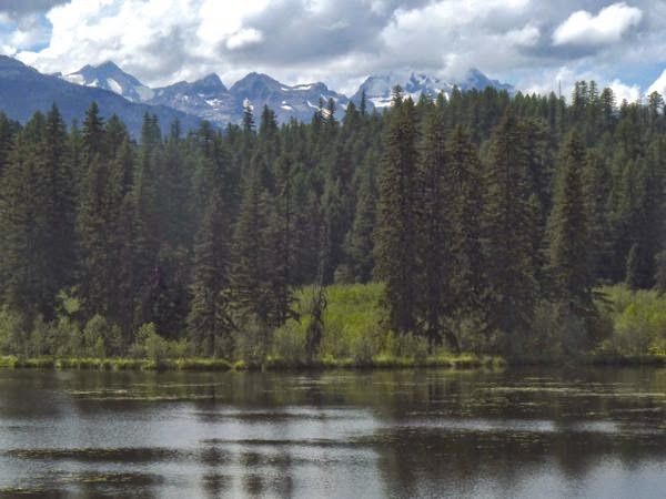Lake with pines and mountains