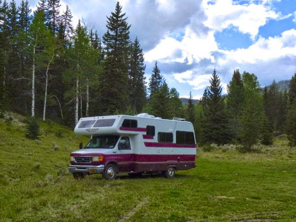 RV camped by tall pines