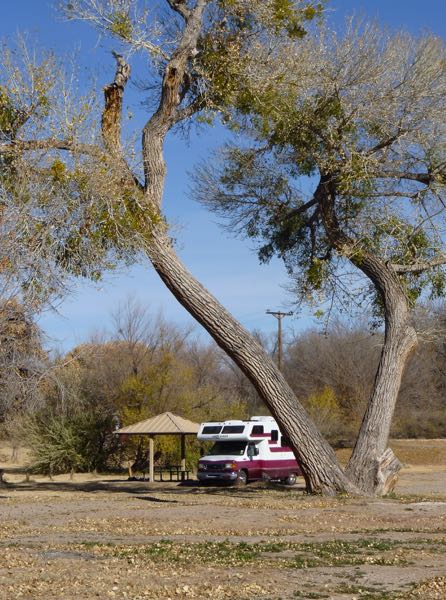 RV under tree by a shelter