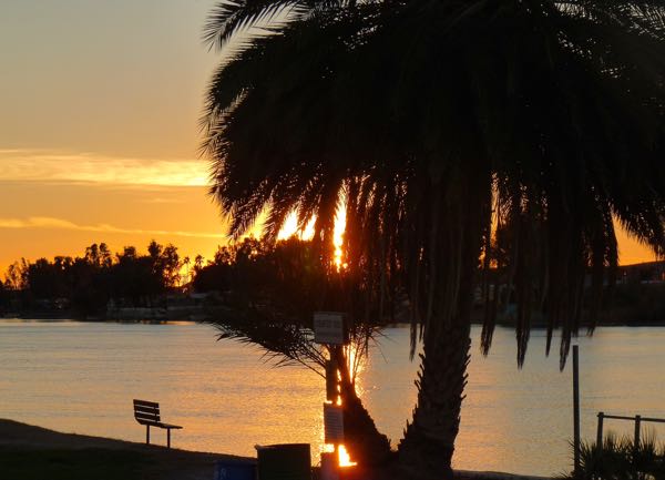 River, palm, sunset