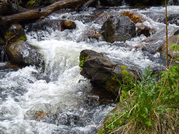 Creek, rocks, cascades