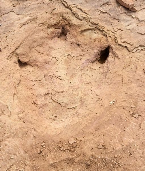 Prehistoric footprint