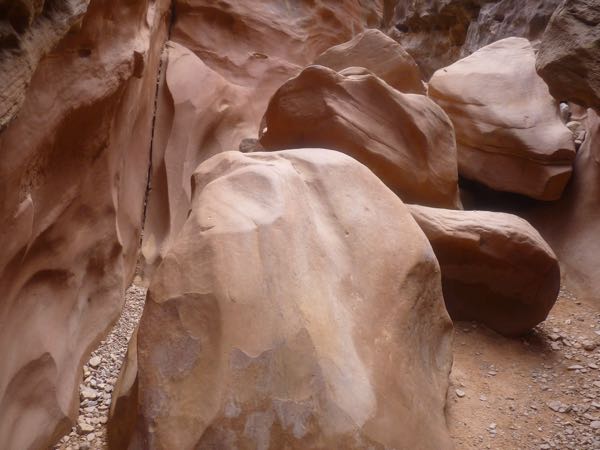 Rocks in the trail