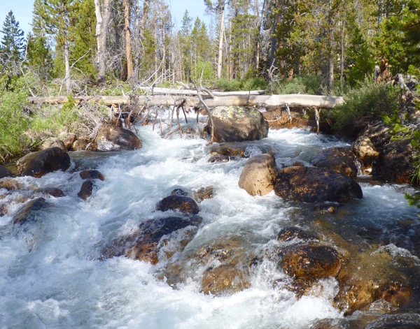Creek, cascades, logs