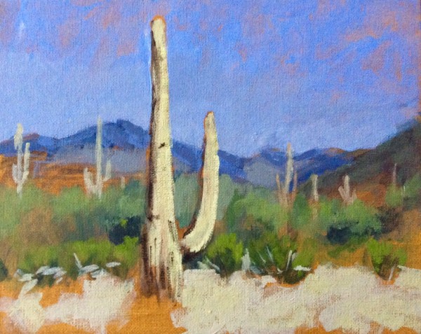 Cactus, mountains
