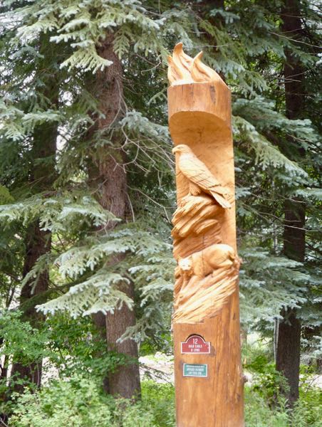 Vallecito Carved Trees