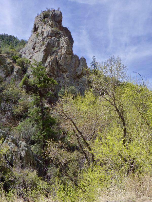Lower Gallinas Canyon
